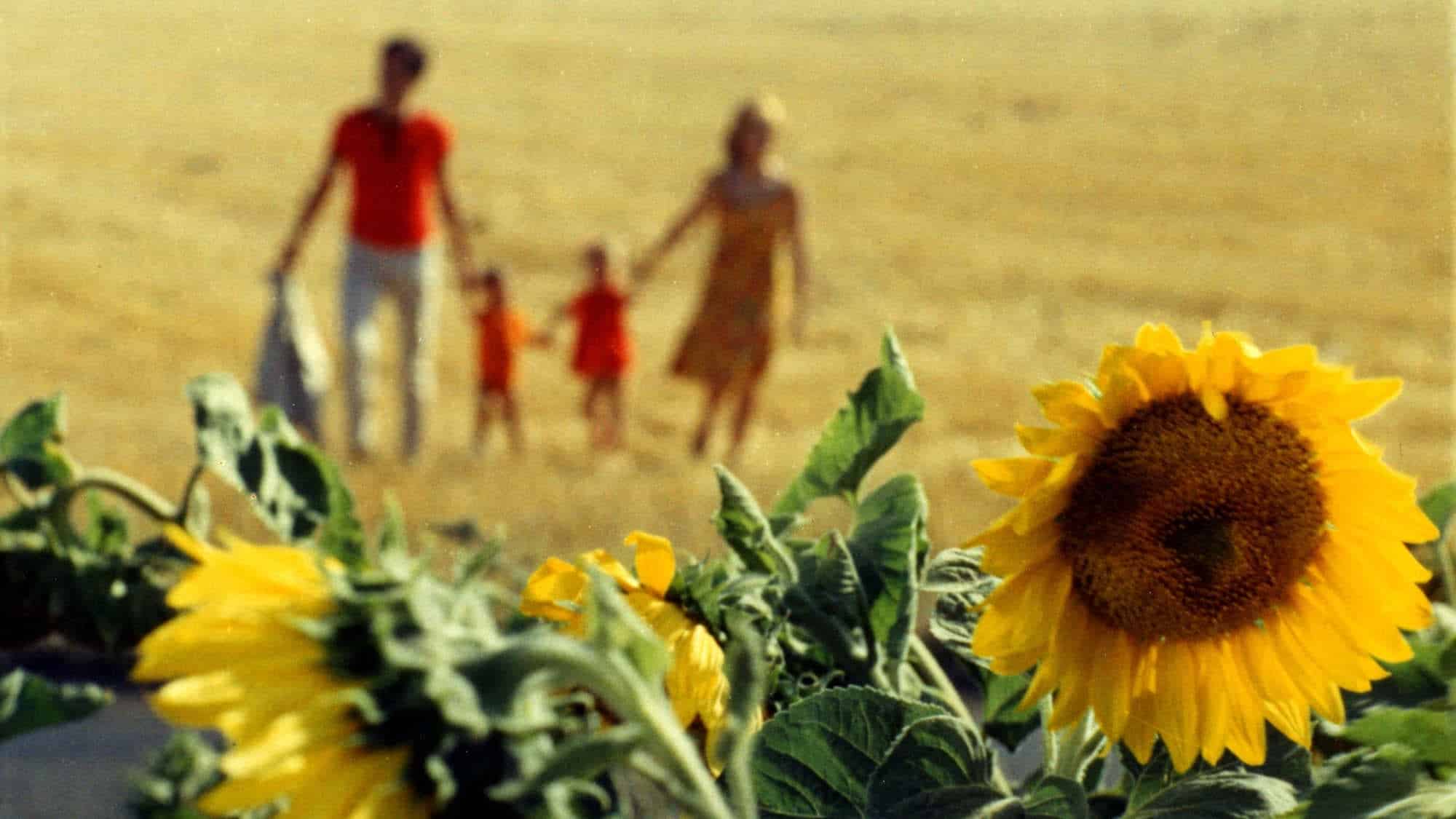 devotudoaocinema.com.br - Agnès Varda e Jacques Demy - A Mais Bela Declaração de Amor