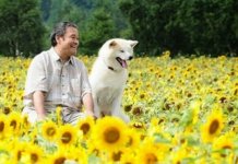 Tesouros da Sétima Arte – “O Cão Que Guarda as Estrelas”, de Takimoto Tomoyuki