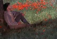 “Irmão Sol, Irmã Lua”, de Franco Zeffirelli