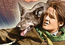 Dica do DTC – “Colisão de Feras”, de Noel M. Smith, com RIN TIN TIN